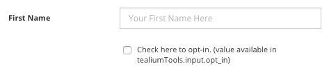 tealium-tools-custom-tool-input-form-fields.jpg